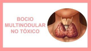 BOCIO
MULTINODULAR
NO TÓXICO
 