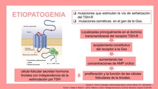 ETIOPATOGENIA  mutaciones que estimulan la vía de señalización
del TSH-R
 mutaciones somáticas en el gen de la Gsα.
Localizadas principalmente en el dominio
transmembranal del receptor TSH-R
acoplamiento constitutivo
del receptor a la Gsα
aumentando las
concentraciones de AMP cíclico
proliferación y la función de las células
foliculares de la tiroides.
célula folicular secretar hormona
tiroidea con independencia de la
estimulación por TSH
Kumar V, Abbas A, Nelson F.. (2010). Robbins y Cotran, Patologia estructural y funcional. Barcelona, Espana: ELSEVIER.
Gardner D.. (2012). Greenspan. endocrinología básica y clínica. México, D.F.: McGrawHill.
 