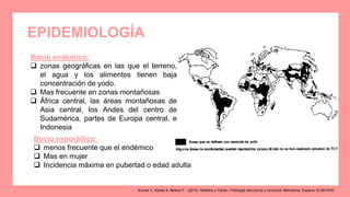 Bocio esporádico:
 menos frecuente que el endémico
 Mas en mujer
 Incidencia máxima en pubertad o edad adulta
EPIDEMIOLOGÍA
Bocio endémico:
 zonas geográficas en las que el terreno,
el agua y los alimentos tienen baja
concentración de yodo.
 Mas frecuente en zonas montañosas
 África central, las áreas montañosas de
Asia central, los Andes del centro de
Sudamérica, partes de Europa central, e
Indonesia
Kumar V, Abbas A, Nelson F.. (2010). Robbins y Cotran, Patologia estructural y funcional. Barcelona, Espana: ELSEVIER.
 