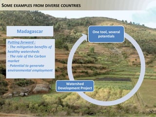 Bockel EX ACT intro Nov 12 2014