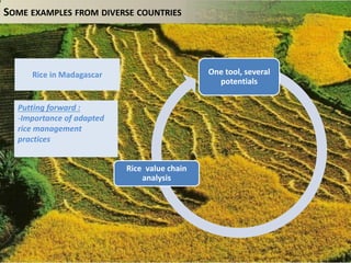 Bockel EX ACT intro Nov 12 2014