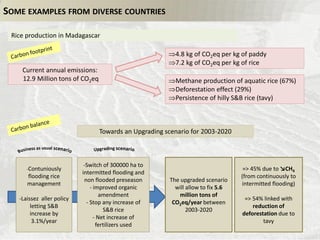 Bockel EX ACT intro Nov 12 2014