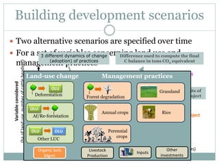 Bockel EX ACT intro Nov 12 2014