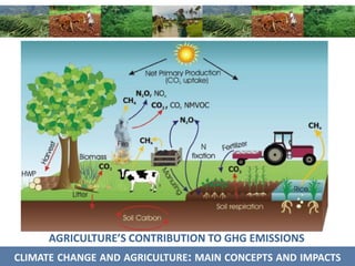 Bockel EX ACT Training nov 12 2014