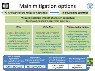 Bockel EX ACT Training nov 12 2014