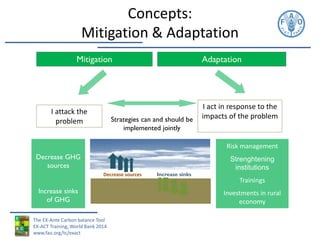 Bockel EX ACT Training nov 12 2014