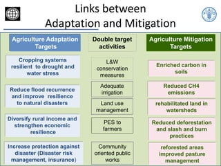 Bockel EX ACT Training nov 12 2014