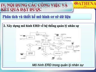 2. Xây dựng mô hình ERD về hệ thống quản lý nhân sự
Mô hình ERD trong quản lý nhân sự
 