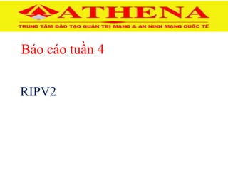 Báo cáo tuần 4
RIPV2
 