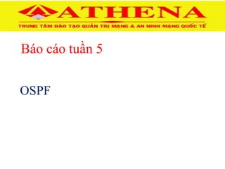Báo cáo tuần 5
OSPF
 