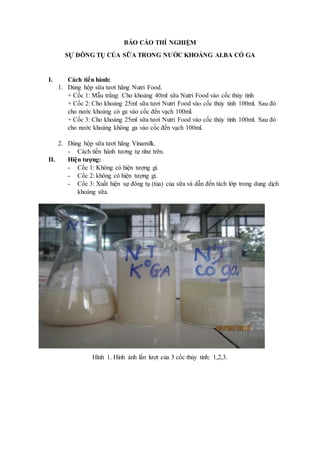 BÁO CÁO THÍ NGHIỆM
SỰ ĐÔNG TỤ CỦA SỮA TRONG NƯỚC KHOÁNG ALBA CÓ GA
I. Cách tiến hành:
1. Dùng hộp sữa tươi hãng Nutri Food.
+ Cốc 1: Mẫu trắng: Cho khoảng 40ml sữa Nutri Food vào cốc thủy tinh
+ Cốc 2: Cho khoảng 25ml sữa tươi Nutri Food vào cốc thủy tinh 100ml. Sau đó
cho nước khoáng có ga vào cốc đến vạch 100ml.
+ Cốc 3: Cho khoảng 25ml sữa tươi Nutri Food vào cốc thủy tinh 100ml. Sau đó
cho nước khoáng không ga vào cốc đến vạch 100ml.
2. Dùng hộp sữa tươi hãng Vinamilk.
- Cách tiến hành tương tự như trên.
II. Hiện tượng:
- Cốc 1: Không có hiện tượng gì.
- Cốc 2: không có hiện tượng gì.
- Cốc 3: Xuất hiện sự đông tụ (tủa) của sữa và dẫn đến tách lớp trong dung dịch
khoáng sữa.
Hình 1. Hình ảnh lần lượt của 3 cốc thủy tinh: 1,2,3.
 
