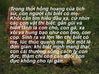 BO CUA XI MONG | PPTX
