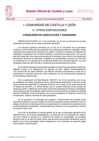 Boletín Oficial de Castilla y León 
Núm. 229 
Pág. 80274 
Jueves, 27 de noviembre de 2014 
I. COMUNIDAD DE CASTILLA Y LEÓN 
C. OTRAS DISPOSICIONES 
CONSEJERÍA DE AGRICULTURA Y GANADERÍA 
ORDEN AYG/1011/2014, de 17 de noviembre, por la que se convocan las ayudas destinadas al fomento de las razas autóctonas españolas. 
Los recursos genéticos animales son la raíz de la innovación de la ganadería moderna, al ser la fuente de la que dependen los criadores para obtener variedades y razas mejoradas que proporcionen productos de calidad, contribuir a mantener los sistemas de explotación respetuosos con el medio ambiente y conservar las tradiciones, a la vez que permiten responder a las nuevas demandas de la sociedad, hacer frente a las situaciones imprevistas, favorecer el desarrollo y satisfacer las necesidades humanas; por todo ello se constituyen en un ejemplo de la multifuncionalidad de la actividad agraria y su valor estratégico debe ser aprovechado y mantenido para las generaciones futuras. 
En las últimas décadas se han puesto en peligro muchas razas ganaderas autóctonas, llegando incluso a la desaparición de algunas de ellas, debido fundamentalmente a la introducción de razas foráneas que ofrecen mayores producciones a costa de su explotación en sistemas intensivos o semi intensivos, con los consecuentes impactos en los ecosistemas tradicionales. 
Con la publicación del Real Decreto 1625/2011, de 14 de noviembre, por el que se establecen las bases reguladoras de las subvenciones destinadas al fomento de las razas autóctonas españolas, se pretende continuar con el apoyo a las razas autóctonas en peligro de extinción y, al mismo tiempo, que no queden excluidas de las ayudas las razas que pasen a calificarse como razas autóctonas españolas de fomento, oficialmente reconocidas por las comunidades autónomas de acuerdo al ámbito competencial del Real Decreto 2129/2008, de 26 de diciembre, por el que se establece el Programa nacional de conservación, mejora y fomento de razas ganaderas. 
Así se garantiza la continuidad del progreso y afianzamiento de aquellas razas ganaderas autóctonas que han dejado de reunir los requisitos que las calificaban como en peligro de extinción, evitando que retornen a esta situación y mejorando la consolidación de nuestro patrimonio zoogenético, indispensable para alcanzar un uso sostenible y racional de nuestro medio rural. 
Con el fin de posibilitar la correcta gestión de la raza, la adecuada aplicación de la reglamentación de los libros genealógicos y el desarrollo de los programas de mejora, así como mejorar la eficacia en la utilización de medios sin duplicidades, se considera oportuno que en el caso de existir varias asociaciones reconocidas oficialmente para la gestión de un libro genealógico deban integrarse en una asociación de segundo grado para acceder a estas ayudas. 
CV: BOCYL-D-27112014-7 
 