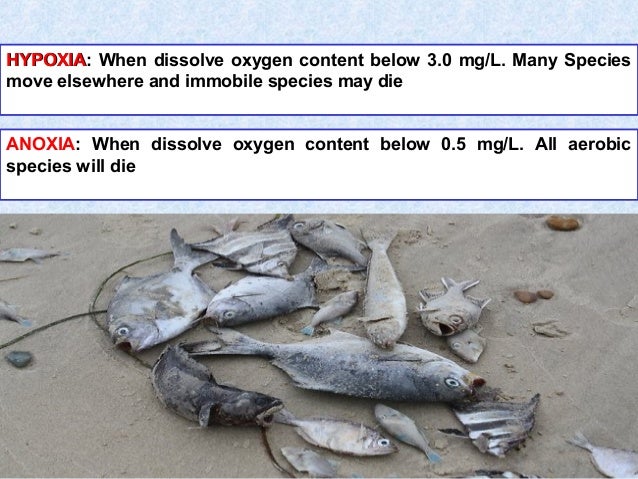 HYPOXIAHYPOXIA: When dissolve oxygen content below 3.0 mg/L. Many Species
move elsewhere and immobile species may die
ANOX...