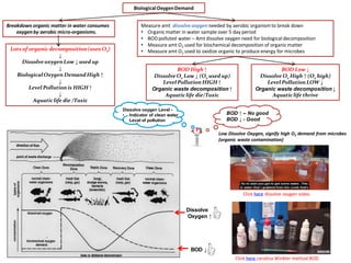 IB Chemistry on Redox Titration, Biological Oxygen Demand and Redox. | PDF