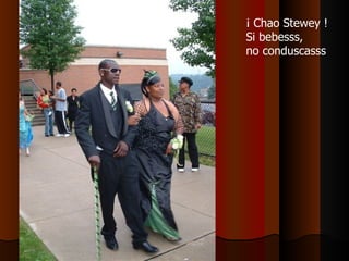 ¡ Chao Stewey ! Si bebesss, no conduscasss 