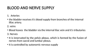 BODAC.pptx a ppt of bladder tumors by BD | PPT