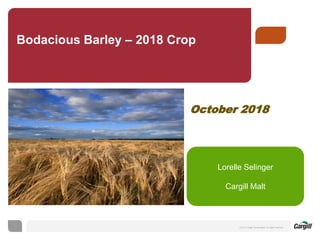 © 2014 Cargill, Incorporated. All rights reserved.
Bodacious Barley – 2018 Crop
October 2018
Lorelle Selinger
Cargill Malt
 