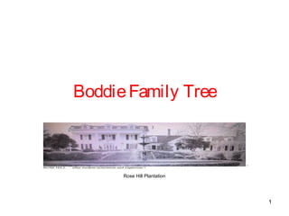 BoddieFamily Tree
Rose Hill Plantation
1
 
