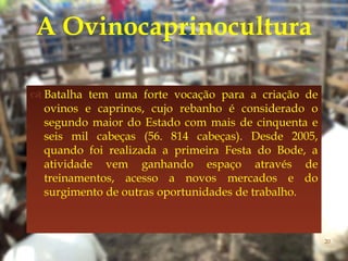 
 Batalha tem uma forte vocação para a criação de
ovinos e caprinos, cujo rebanho é considerado o
segundo maior do Estado com mais de cinquenta e
seis mil cabeças (56. 814 cabeças). Desde 2005,
quando foi realizada a primeira Festa do Bode, a
atividade vem ganhando espaço através de
treinamentos, acesso a novos mercados e do
surgimento de outras oportunidades de trabalho.
A Ovinocaprinocultura
20
 