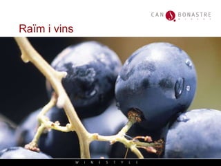 Raïm i vins 