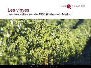 Les vinyes  Les més velles són de 1985 (Cabernet i Merlot) 