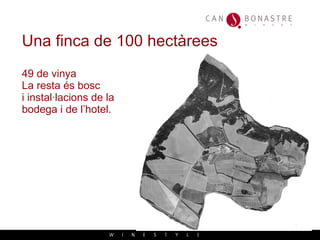 Una finca de 100 hectàrees 49 de vinya La resta és bosc  i instal·lacions de la  bodega i de l’hotel. 