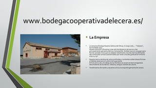 www.bodegacooperativadelecera.es/
• La Empresa
•

La empresa Bodega Nuestra Señora del Olivar, S.Coop.Ltda., – ”Valssira”,
fue fundada 1955.
Desde entonces cultivamos unas 460 hectáreas en las que se crían
principalmente garnacha ibérica y tempranillo. Ambas uvas se conjugan para
formar grandes vinos que se adaptan totalmente a la más estricta demanda
del consumidor actual caracterizados por tener una alta graduación entrono
a los 14-15º.

•

Nuestra tierra calcárea de raíces profundas y corrientes subterráneas forman
el hábitat ideal para el cultivo de la garnacha.
El fruto de la vid y el trabajo de los hombres se aunan en tierra aragonesa
descendiente de los íberos: Valssiria, antiguo nombre de Lécera.

•

Vendimiamos de noche y sacamos a la luz la exquisita garnacha de Lécera.

 