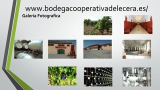 www.bodegacooperativadelecera.es/

Galeria Fotografica

 