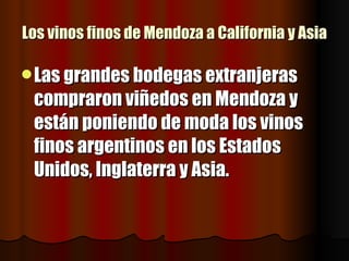 Bodegas De Mendoza