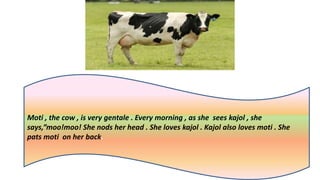 Moti , the cow , is very gentale . Every morning , as she sees kajol , she
says,”moo!moo! She nods her head . She loves kajol . Kajol also loves moti . She
pats moti on her back.
 