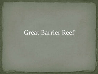 Great Barrier Reef
 