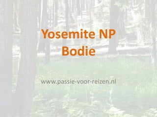 Yosemite NP
   Bodie
www.passie-voor-reizen.nl
 