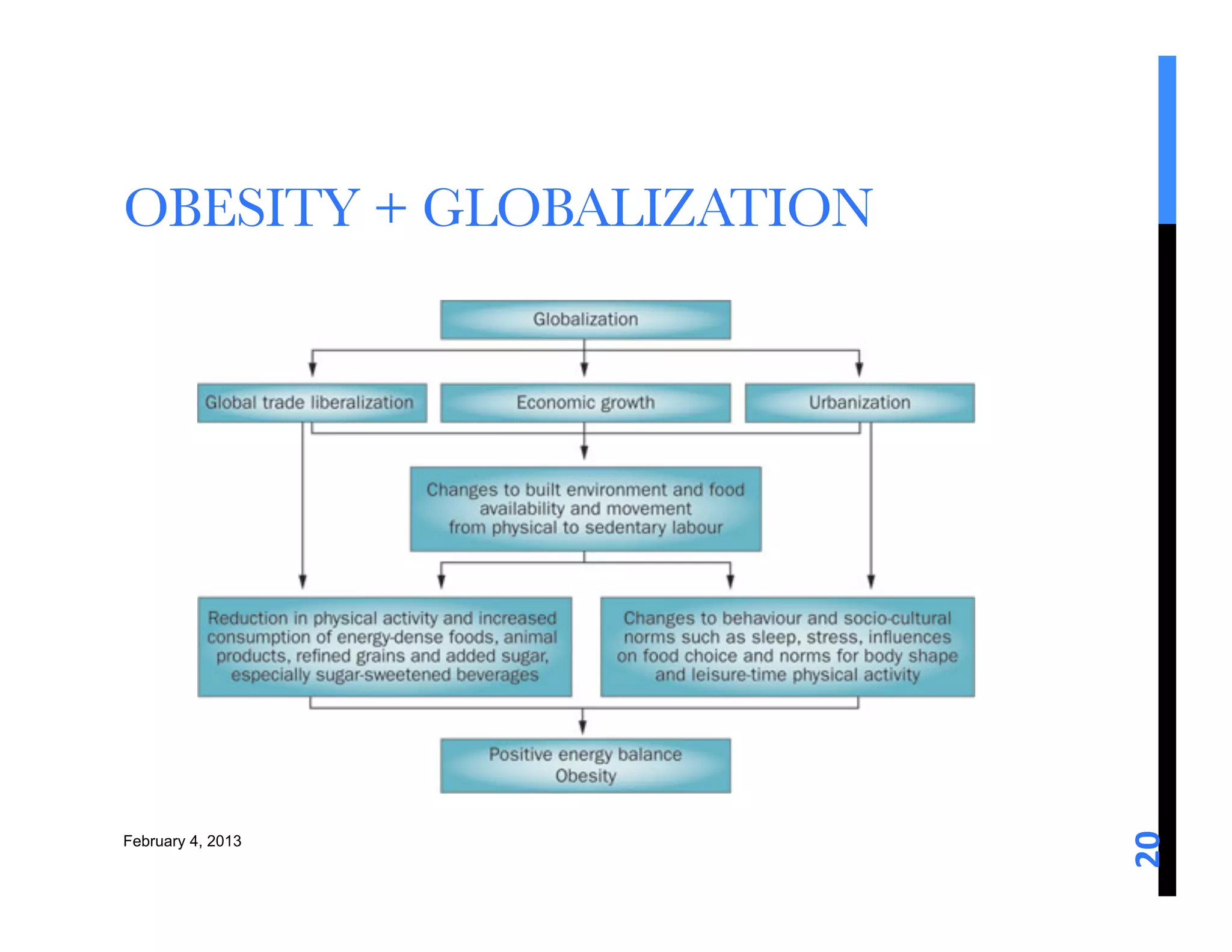 OBESITY + GLOBALIZATION 




                            20	
  
February 4, 2013
 