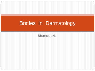 Shumez .H.
Bodies in Dermatology
 