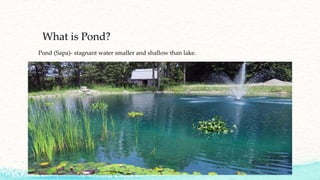 Bodies of water | PPT