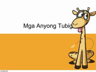 Mga Anyong Tubig
 