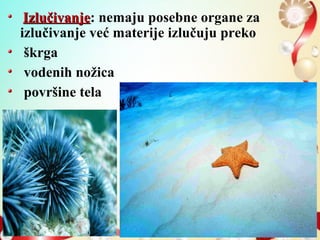 IzlučivanjeIzlučivanje: nemaju posebne organe za
izlučivanje već materije izlučuju preko
škrga
vodenih nožica
površine tela
 