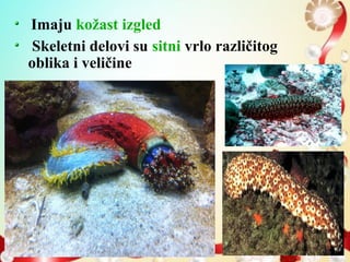 Imaju kožast izgled
Skeletni delovi su sitni vrlo različitog
oblika i veličine
 