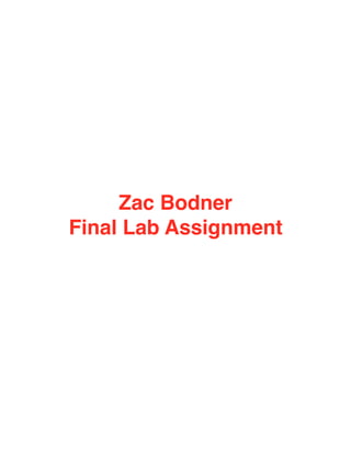 Zac Bodner
Final Lab Assignment 
 