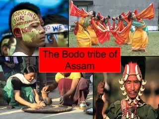 The Bodo tribe of
Assam
 