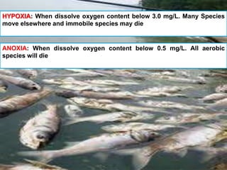 HYPOXIA: When dissolve oxygen content below 3.0 mg/L. Many Species
move elsewhere and immobile species may die
ANOXIA: When dissolve oxygen content below 0.5 mg/L. All aerobic
species will die
 