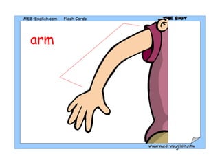 arm 