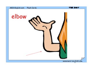 elbow 