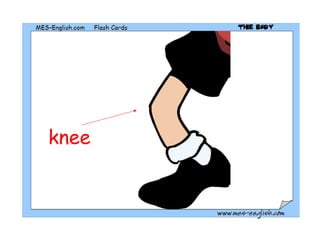 knee 