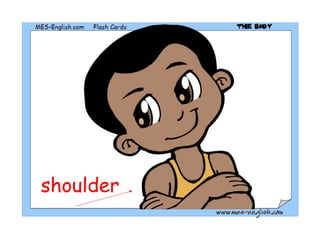 shoulder 