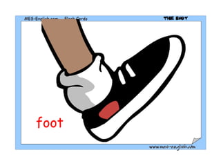 foot 