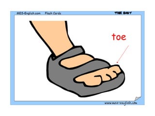 toe 
