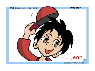 ear 