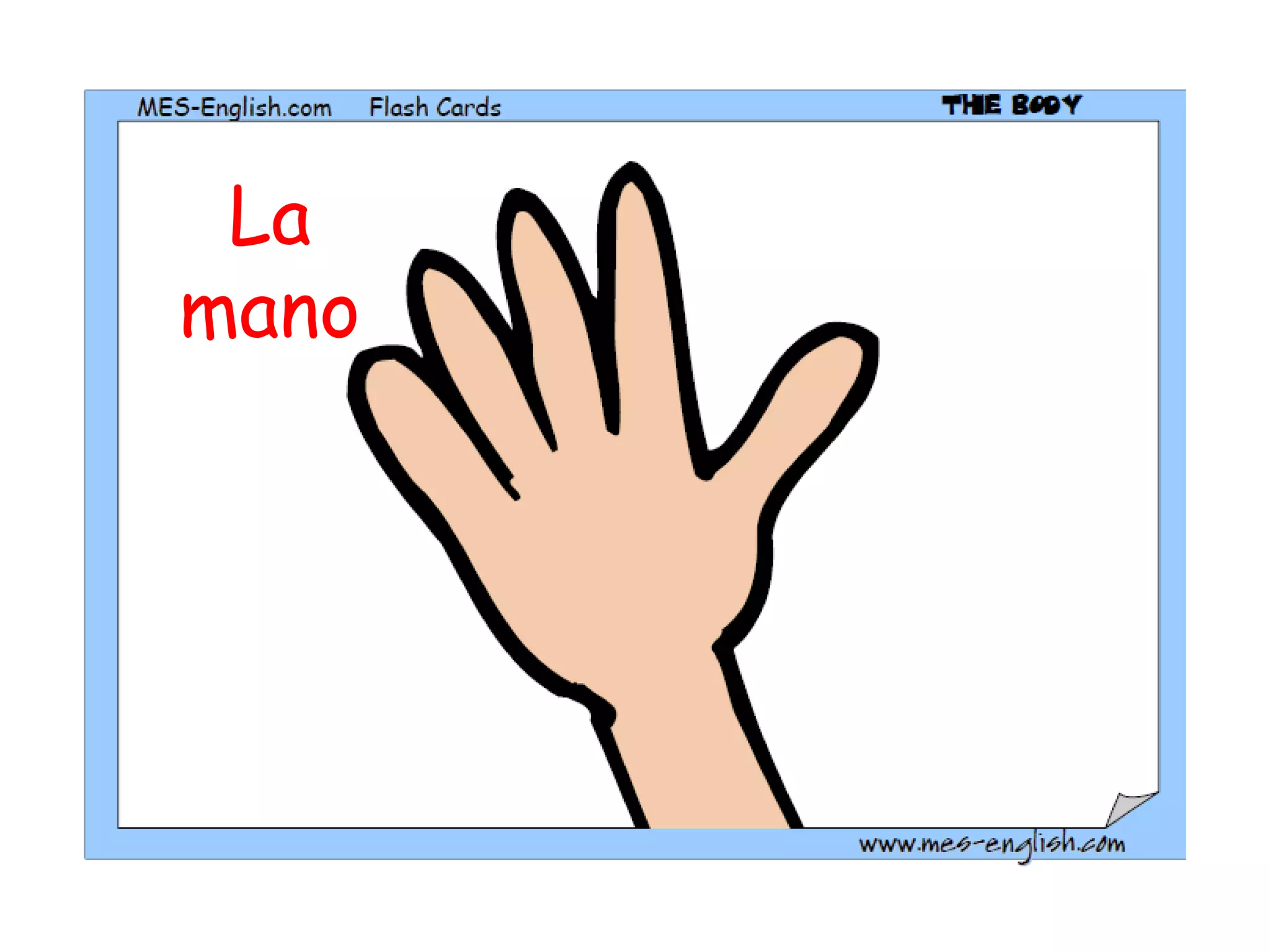 La mano